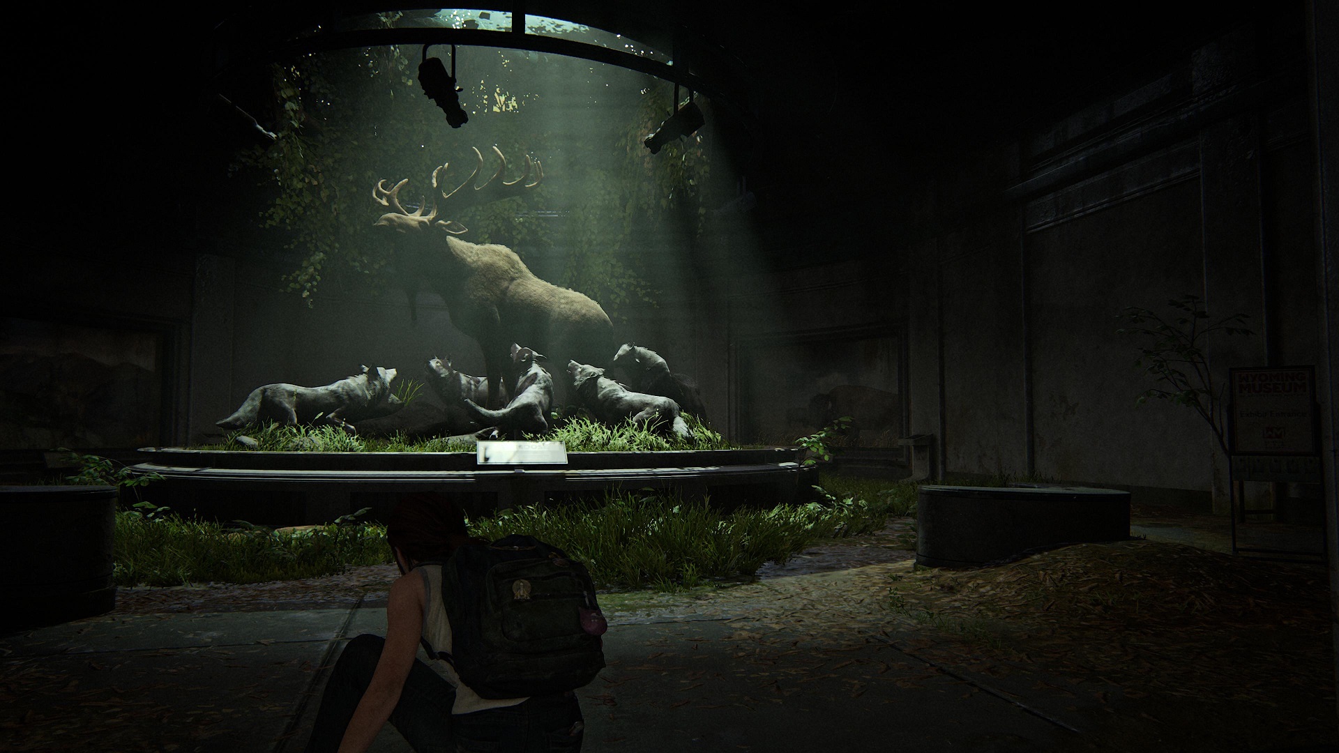 The player crouches observing a large museum display with a moose being attacked by a pack of wolves